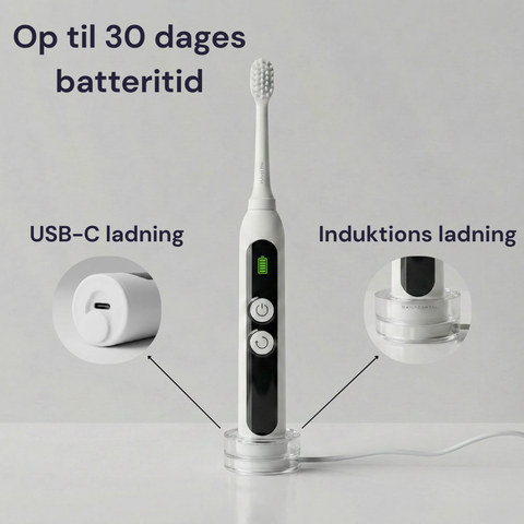 Elektrisk tandbørste Hybrid Pro